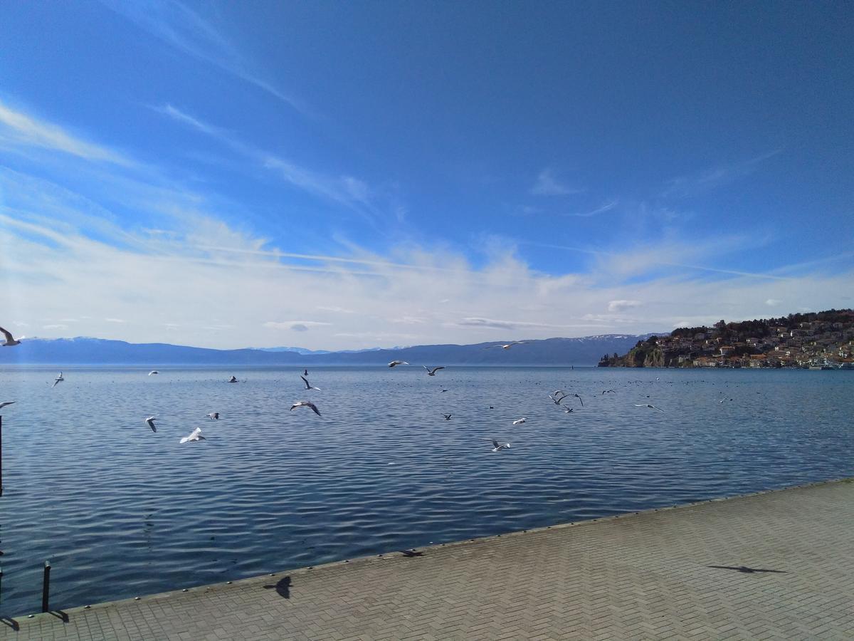Biljana lux apartment Ohrid Bagian luar foto
