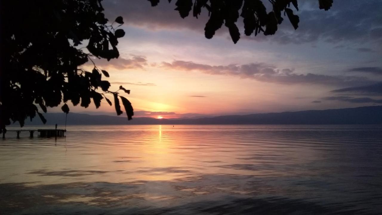 Biljana lux apartment Ohrid Bagian luar foto